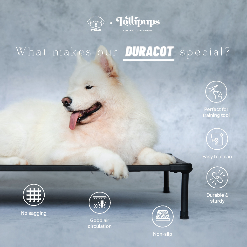 The Duracot (LARGE) -- Elevated dog bed (pet cot, tempat tidur hewan)