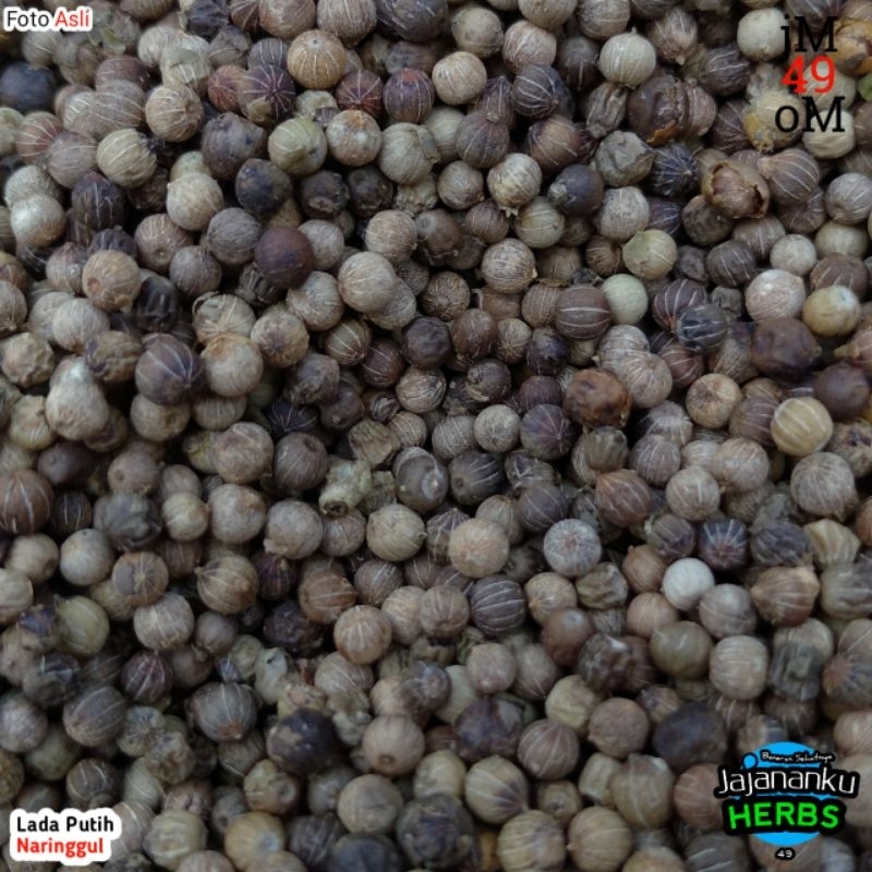 

Lada Putih 1Kg Biji Utuh Warna Gelap Alami Pedes Lada Premium