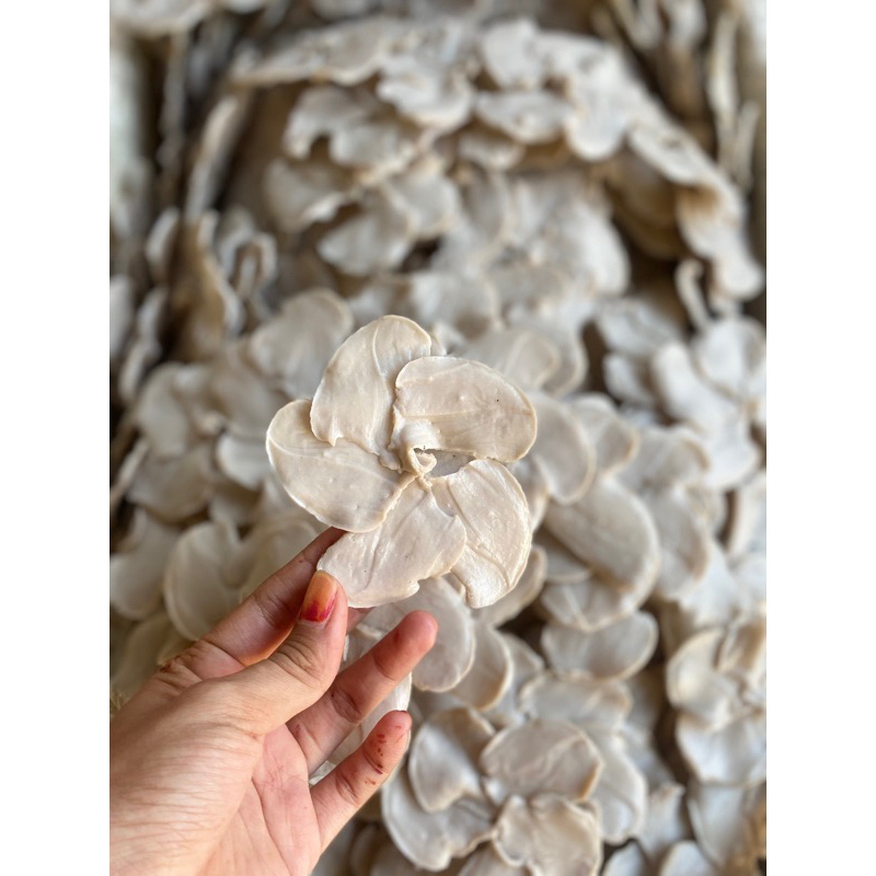 

KRUPUK IKAN KHAS BESUKI SITUBONDO (IBU HINDUN) 500gr