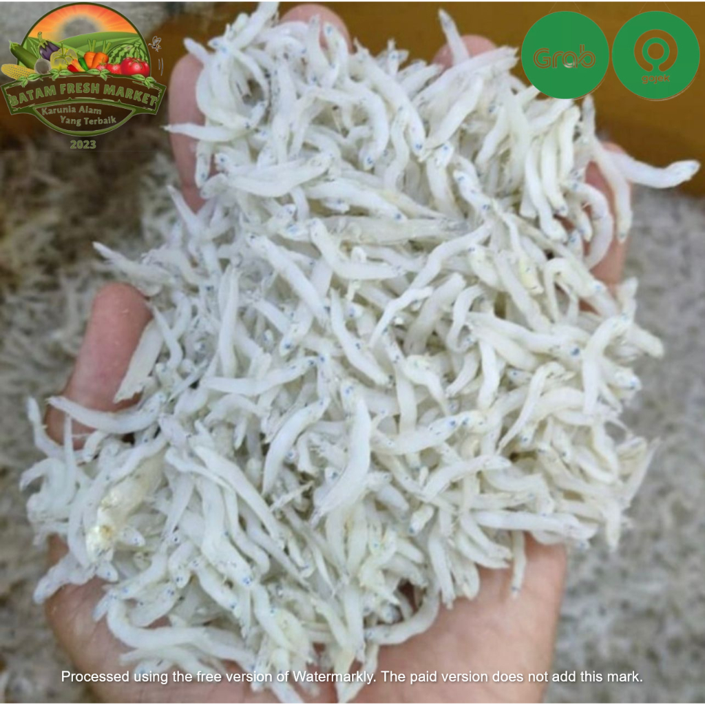 

Teri Nasi Medan Fresh