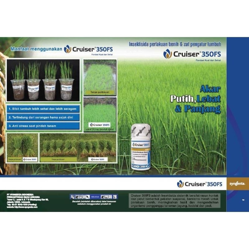 Intektisida Cruiser 350FS 12,5 ML Dari Syngenta