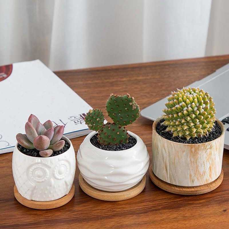 FINDOHOPE Tatakan Pot Kayu Alas Bunga Bamboo Tray Succulent Cactus - OE0094