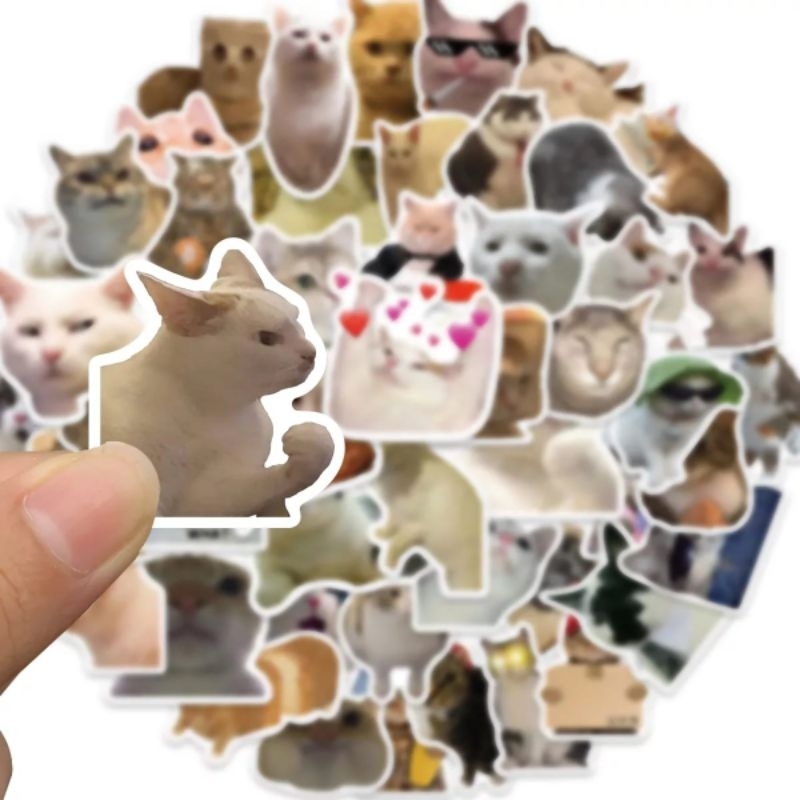 50pcs Stiker Kucing Lucu Cute Kawaii cute cat Bahan Vinyl Anti Air Stickers aesthetic for outdoor an