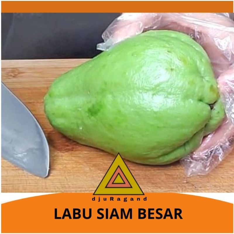 

Labu siam besar 500 gram