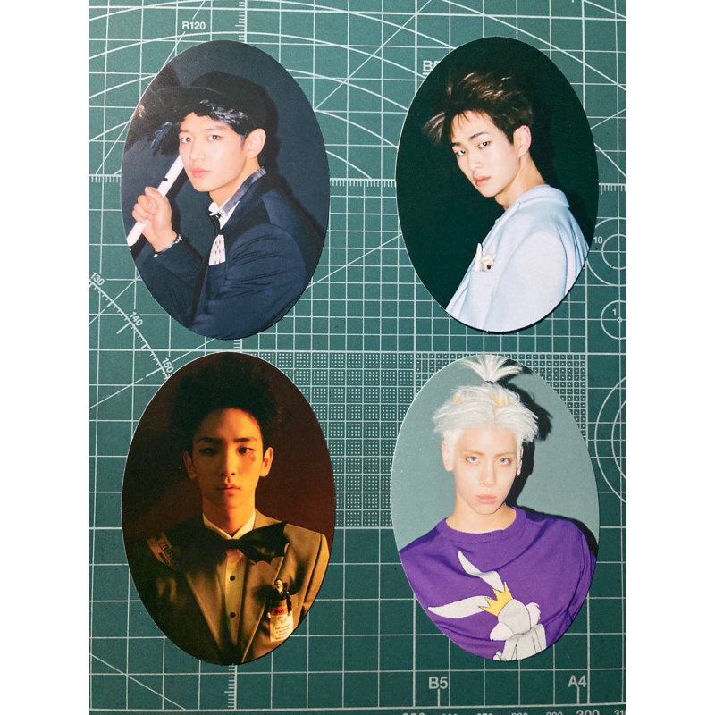 SHINee Married to the Music MTTM Sticker Photocard PC Minho Key Onew Jonghyun