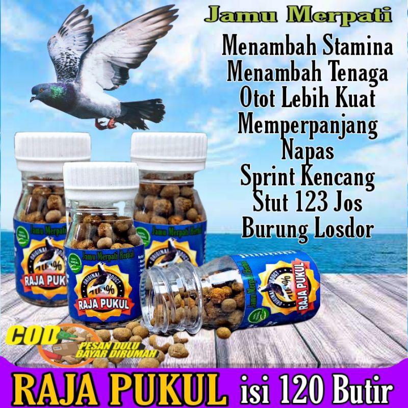 PIL RAJA PUKUL 120 Butir jamu Merpati Tinggi pukul jamu merpati stut dor doping merpati kolong los d