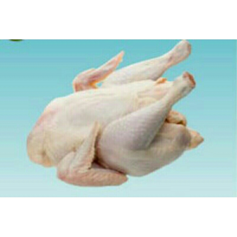 

Ayam fresh karkas uk 1 kg