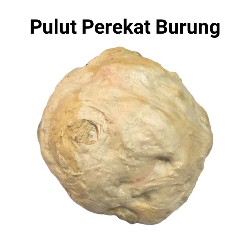 

Pulut Lem Perekat Jebak Burung Campuran Kemasan Praktis