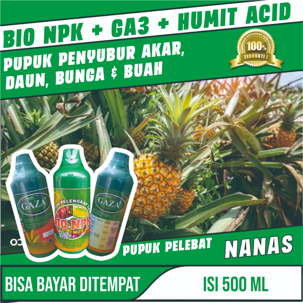 Bio Npk Gaza Pupuk Pelebat Buah Nanas Anti Rontok Bio Npk Gaza Pupuk Npk Cair Pembesar Buah Nanas - 