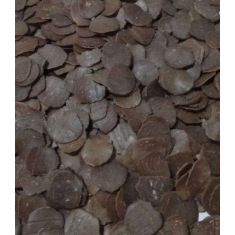 

kerupuk jengkol mentah.