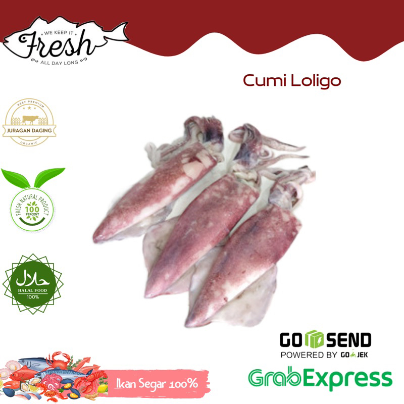 CUMI LOLIGO/CUMI TEROPONG FRESH 1kg