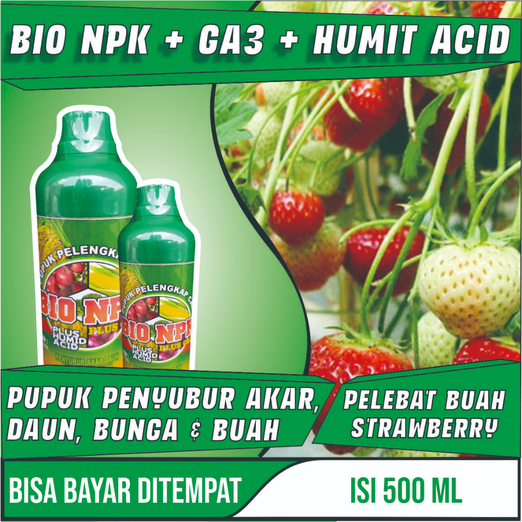 (PALING LARIS) Pupuk Npk Pelebat Buah Bibit Strawberry OBAT ORGANIK PELEBAT STRAWBERRY UNGU Biar Cep