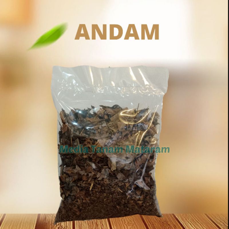 ANDAM HUMUS ANDAM | DAUN PAKIS MEDIA TANAM POROUS