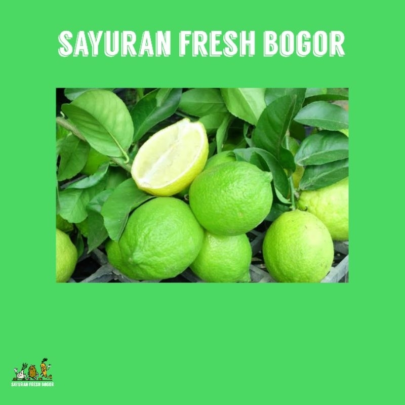 

Jeruk Nipis Segar 2 Buah | Sayuran Fresh Bogor
