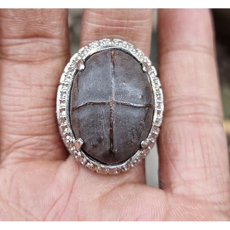 tapak jalak benang merah super langka dan sangat antik