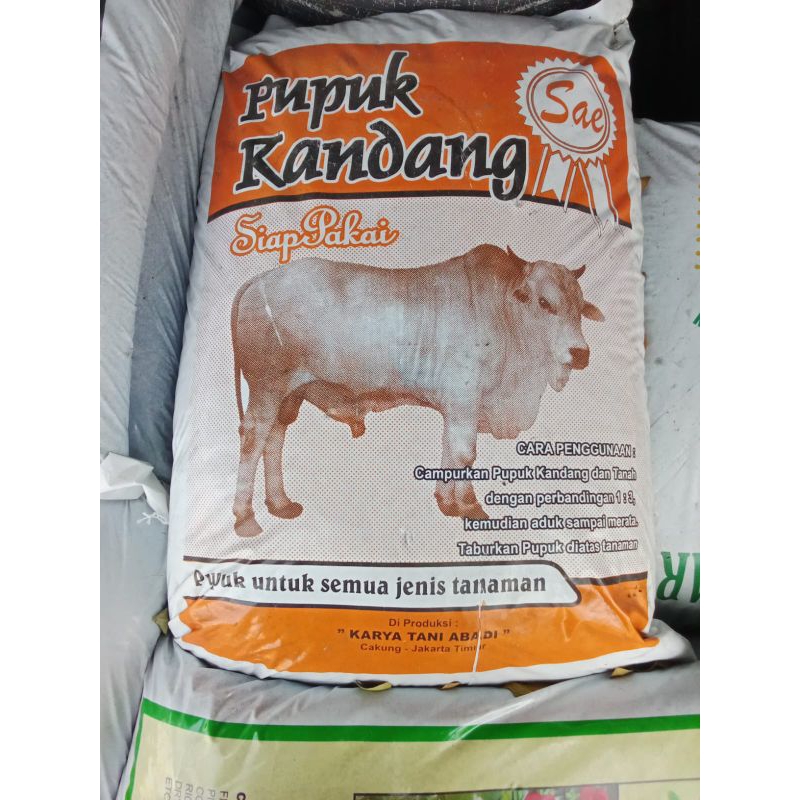Pupuk Kandang Sapi Besar