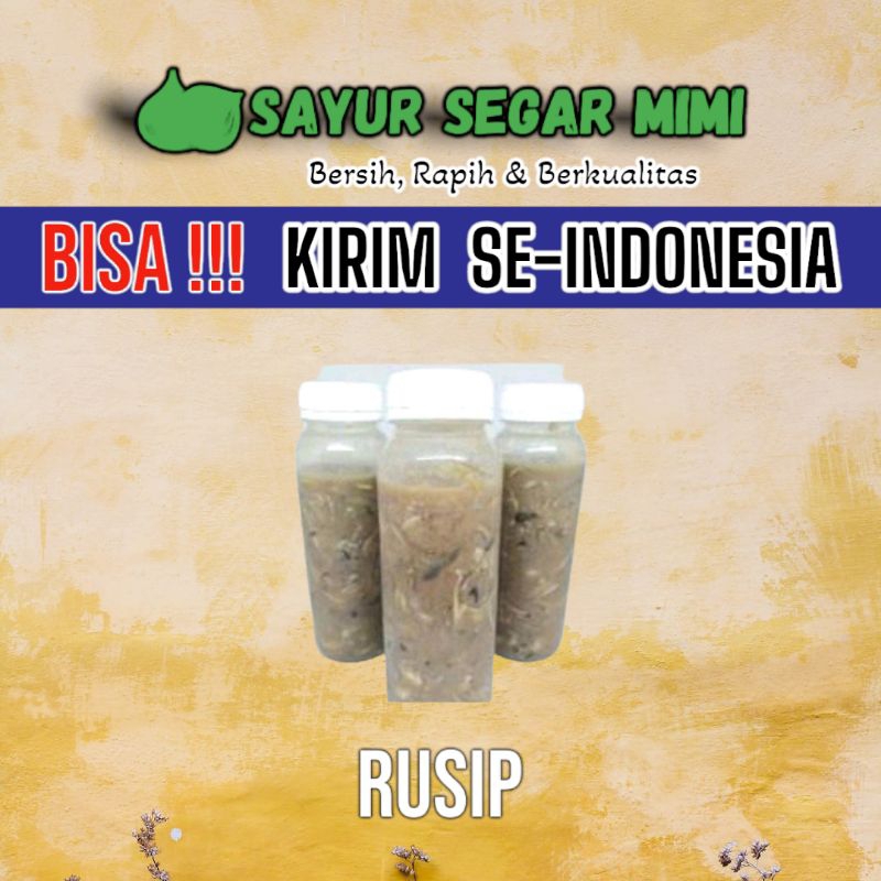 

Rusip Bangka 1Botol - Sᴀʏᴜʀ Sᴇɢᴀʀ ♏ɪᴍɪ