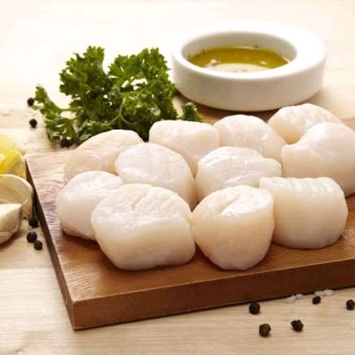 

Daging Kerang Kapak Kerang Kampak Scallop Fresh Frozen Hasil Laut Segar Seafood