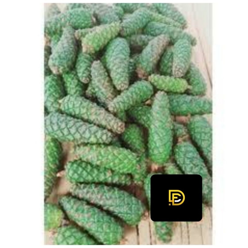 

Buah pinus segar hijau 500 gram-az