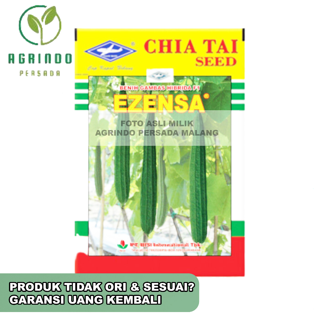 Benih Gambas Ezensa 10 gram Cap Kapal Terbang | Benih gambas Esenza 10 gram