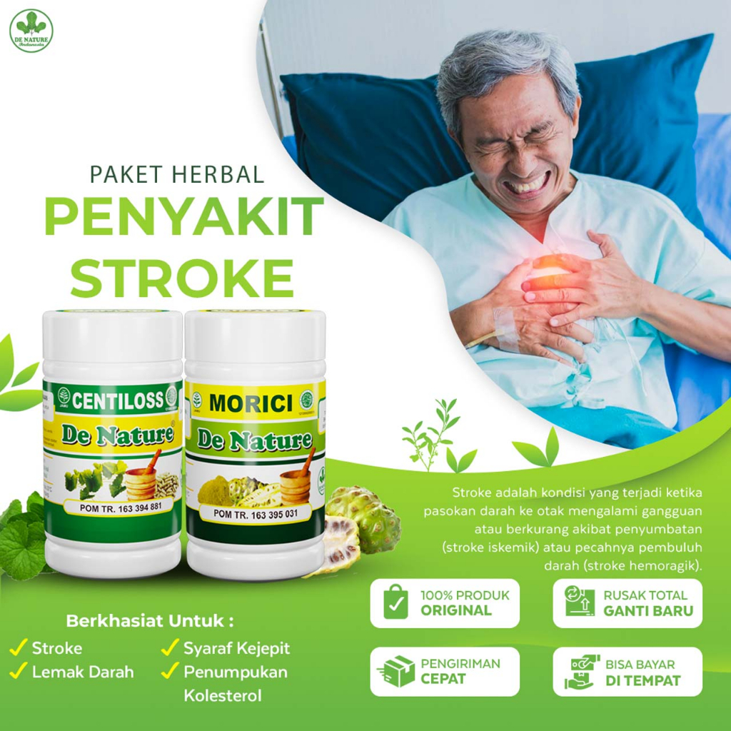 

Paket Herbal Stroke Ringan Stroke Berat Kaku Badan Kaku Setengah Badan Gejala Stroke De Nature
