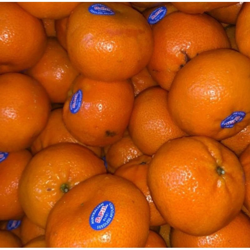 Jeruk Mandarin Aforer afourer Fresh