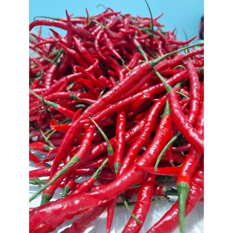 

cabe kriting/cabai panjang/cabe kriting 500g