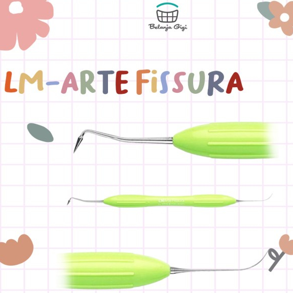 LM Arte Fissura