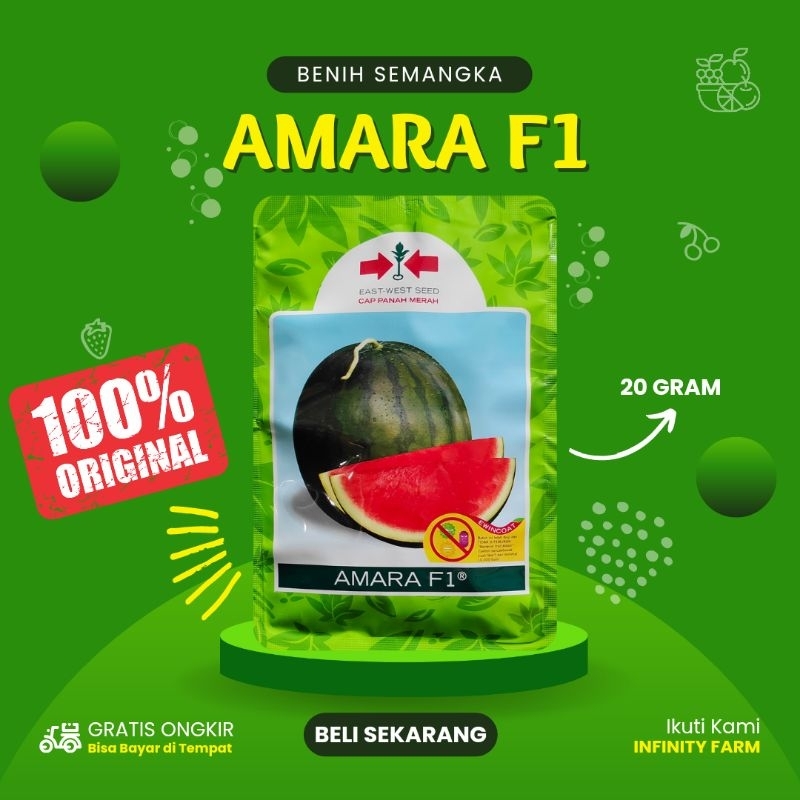 Benih Semangka Amara F1 20gr Original Panah Merah