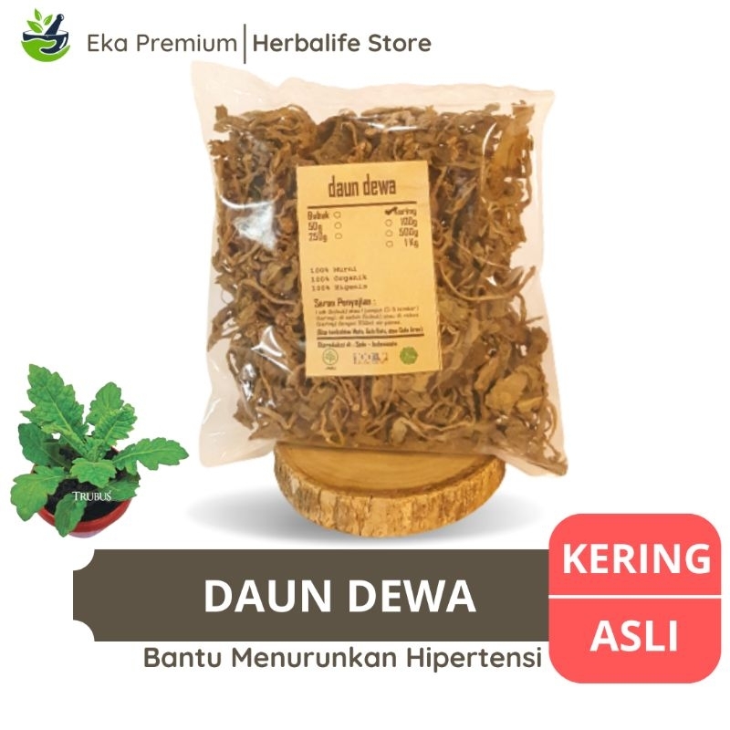 

DAUN DEWA KERING Samsit Asli Ramuan Rempah Herbal Murni Jamu Minuman Tradisional Gynura divaricata