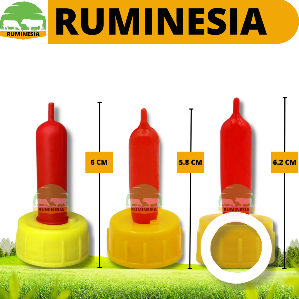 DOT CEMPE MERAH KUNING - DOT KAMBING - DOT ANAK KAMBING DOMBA