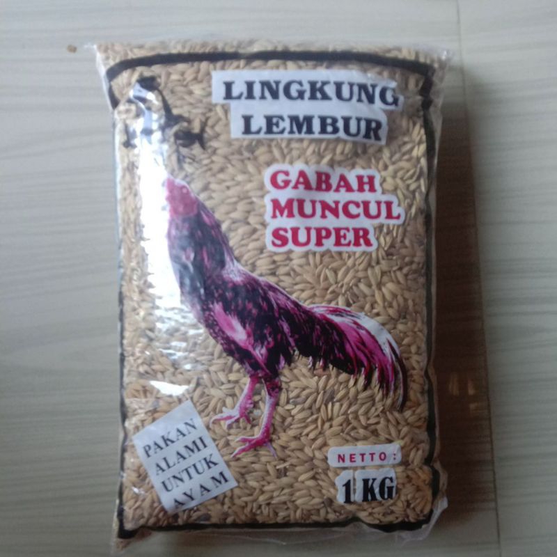 GABAH MUNCUL SUPER 1KG