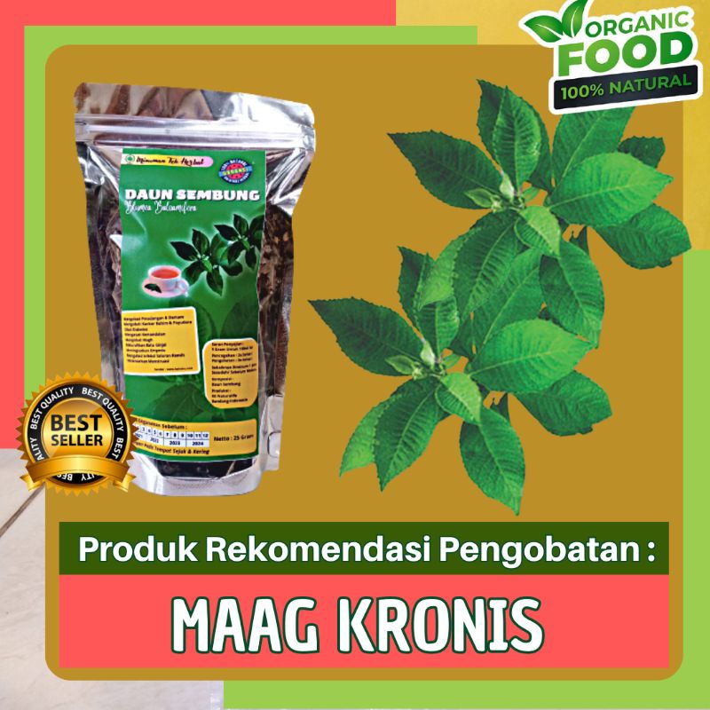 

Teh Daun Sembung Obat Lambung