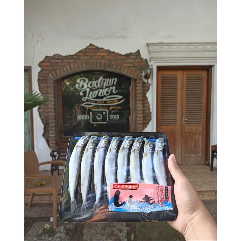 

IKAN SHISAMO IKAN CIPUNG