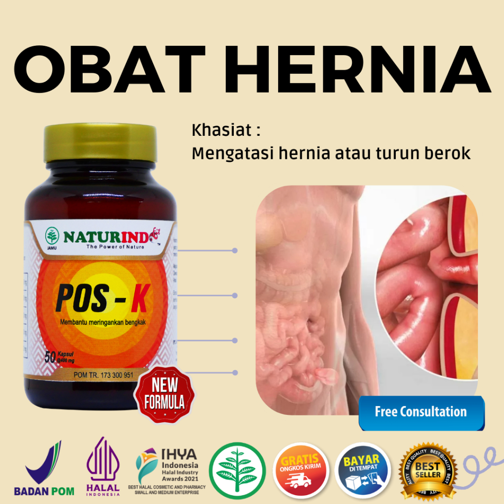 obat hernia turun berok beruk benjolan perut selangkangan anak dewasa pria pos-k naturindo