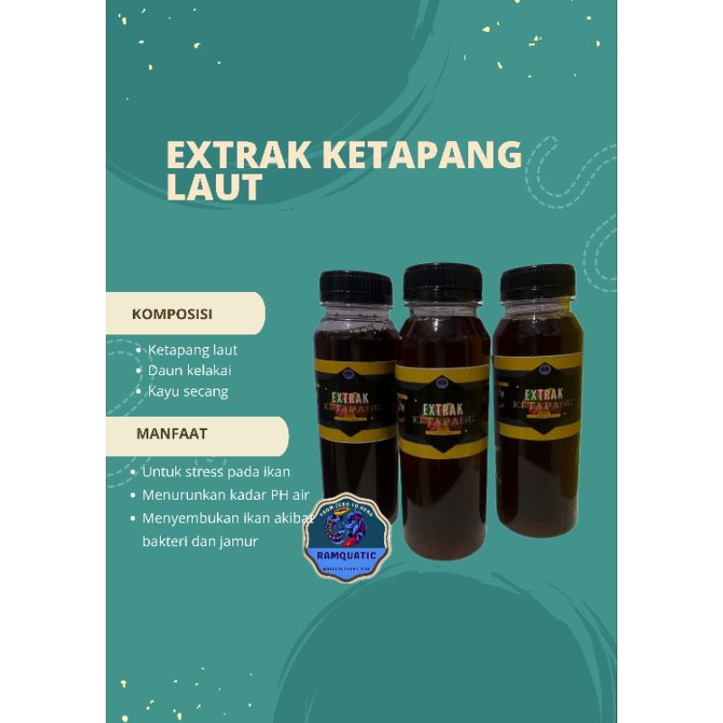 Extrak Ketapang laut 250ml
