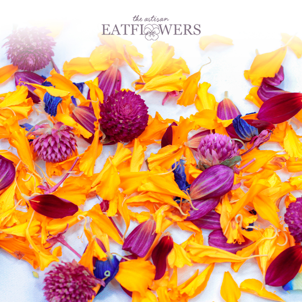 

Confetti Mixed Fresh Edible Flowers - The Artisan Eatflowers EF02
