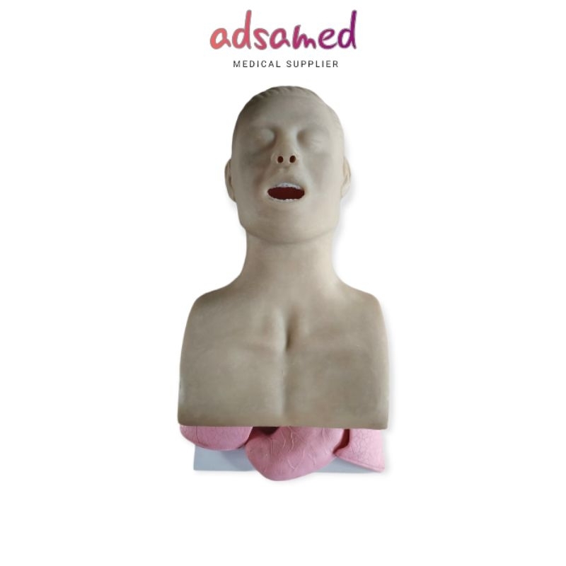 PHANTOM MANIKIN AIRWAY INTUBASI / MANIKIN INTUBASI / ETT AIRWAY