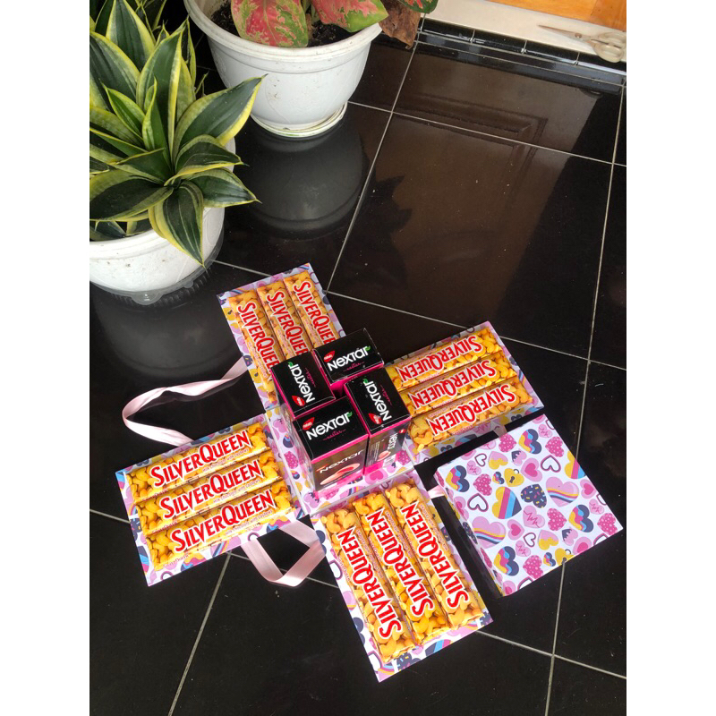 

Surprise Gift Box Snack Coklat Silver Queen 58gr