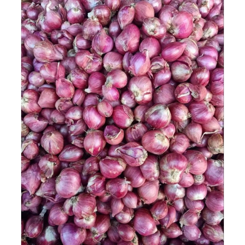 

Bawang Merah Asli 1KG KERING - Bumbu Dapur Tahan Simpan dan Pengiriman Jarak Jauh