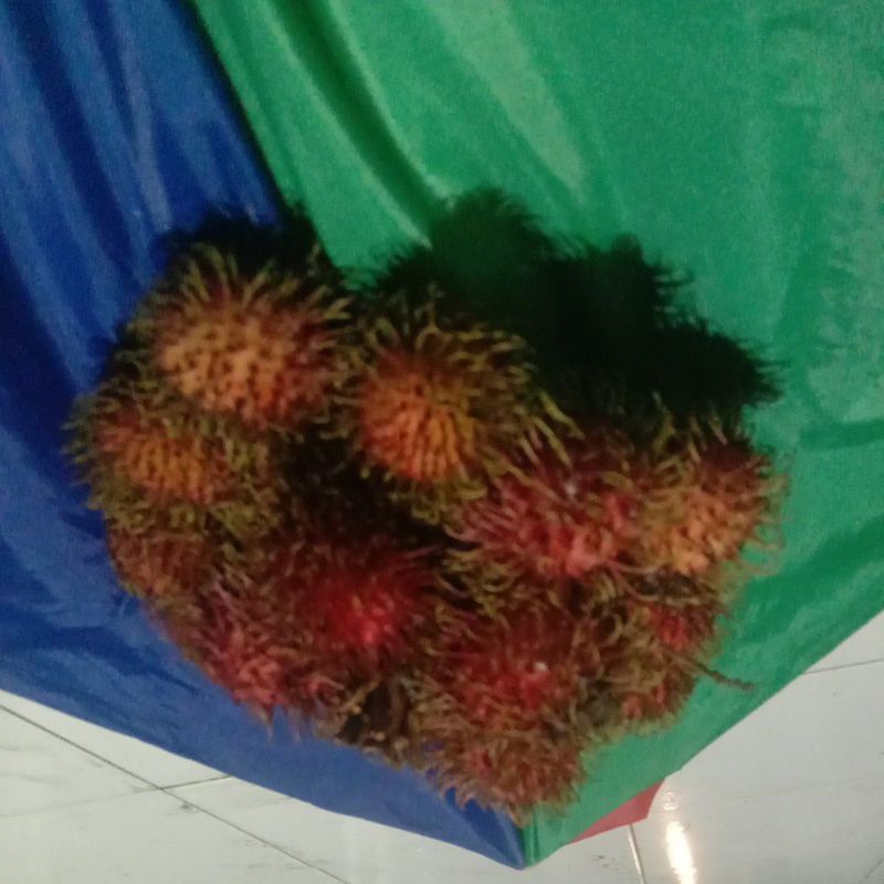 

rambutan Binjai manis enak lekang 500 g