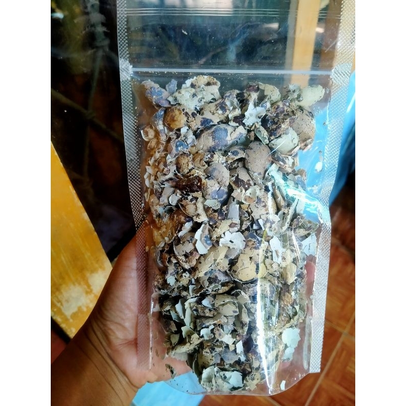 

Grit asinan kulit cangkang telur puyuh 120 gr