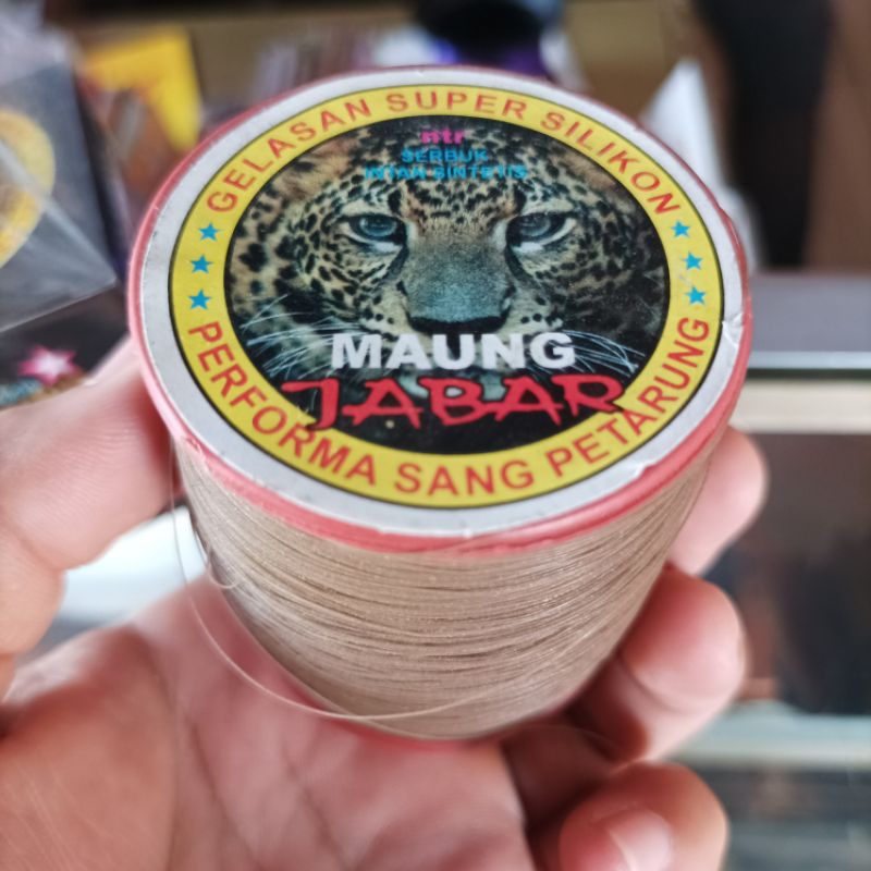 GELASAN MAUNG JABAR GELASAN ADUAN LAYANGAN