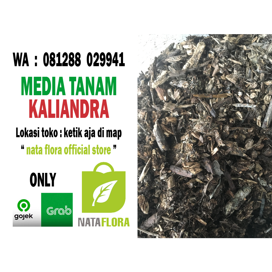 kaliandra media tanam anggrek siap pakai steril