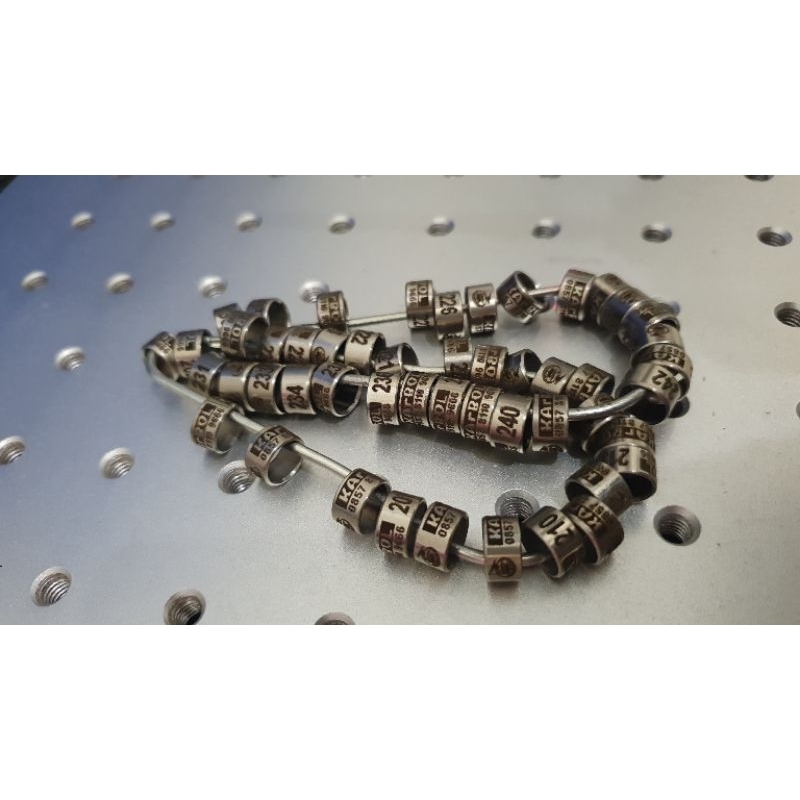 Ring model baja laser merpati