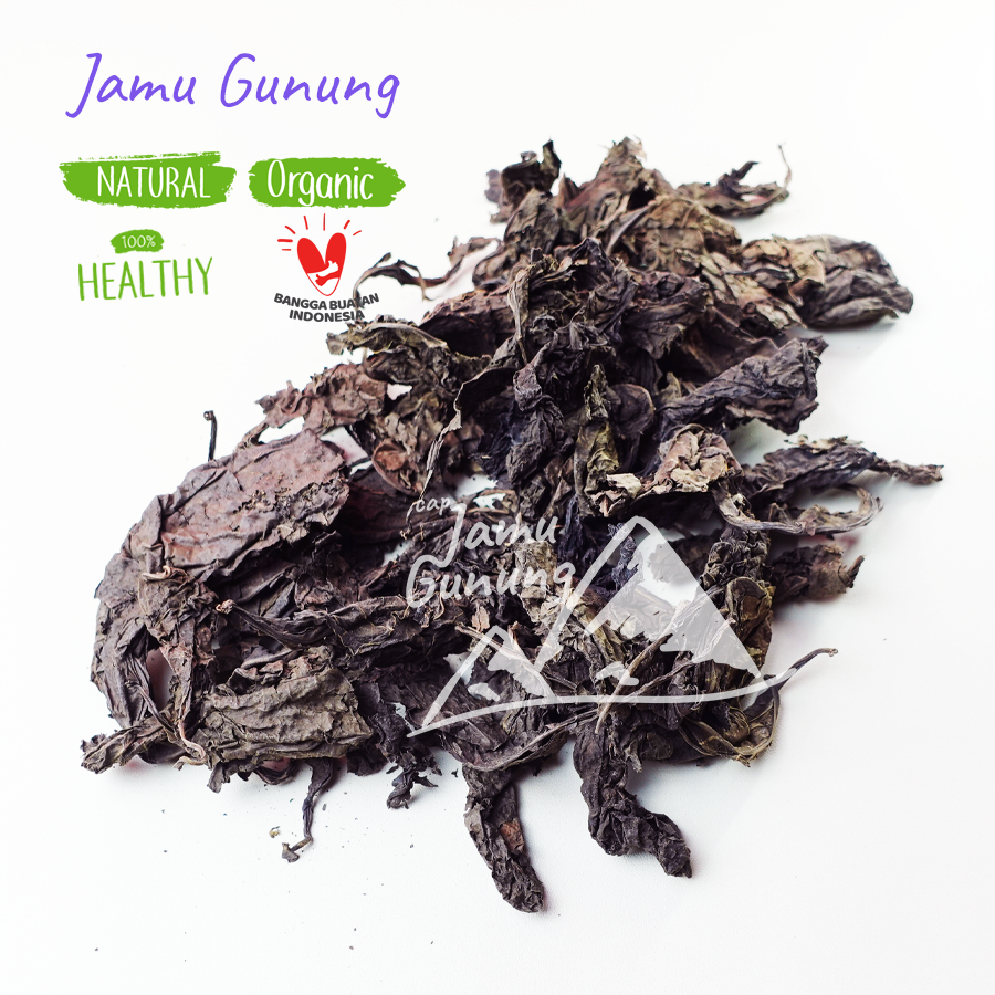 

Daun Ungu Kering 100gr Asli dan Bersih
