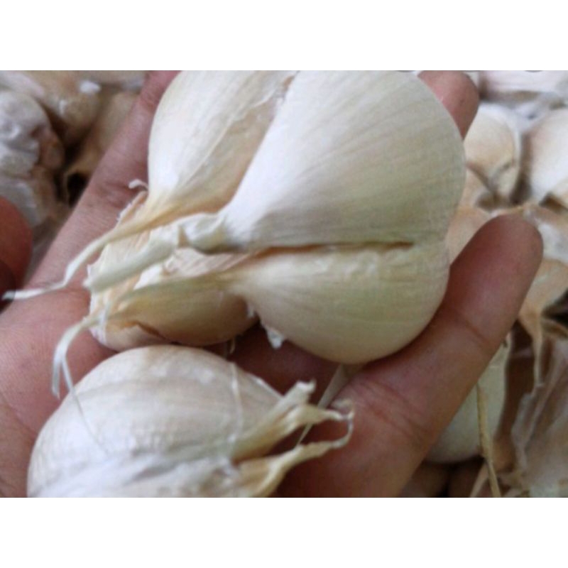 

bawang putih 250 gr