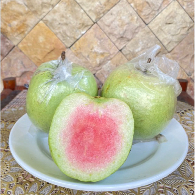 

(READY SEKARANG) Jambu Kristal Merah Super