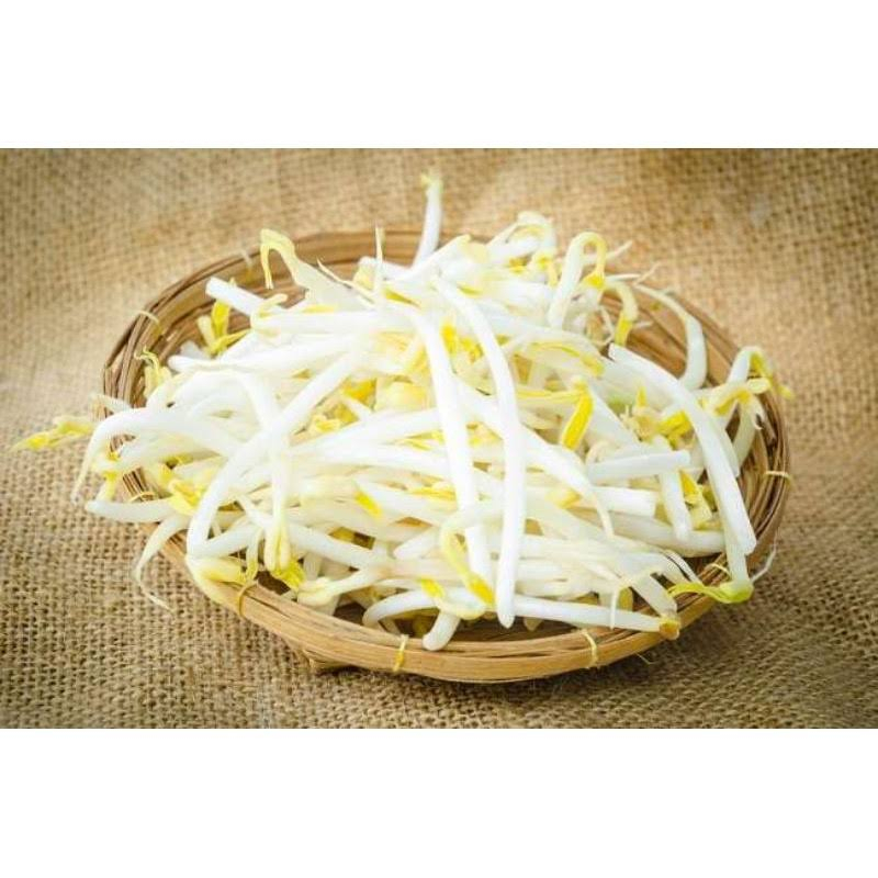 

Tauge segar 500gr