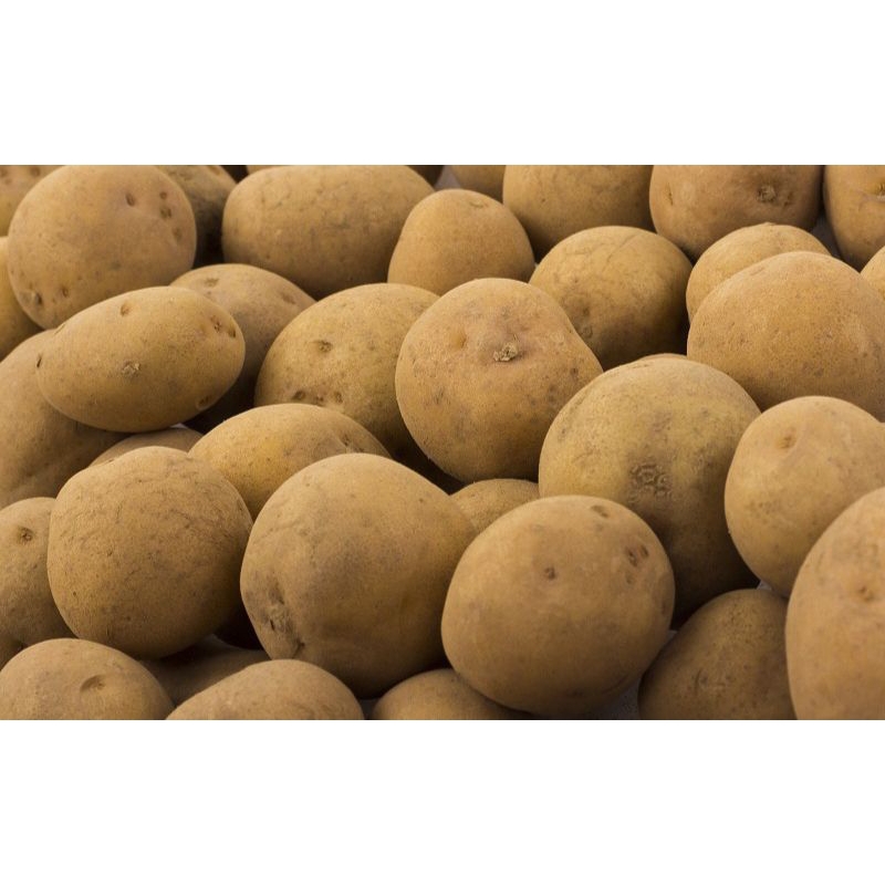 

Kentang ukuran sedang 500 gr